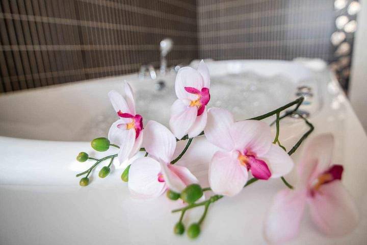 Casa rural para 16 personas, con piscina además de jardín y jacuzzi en Provincia de Toledo - 3