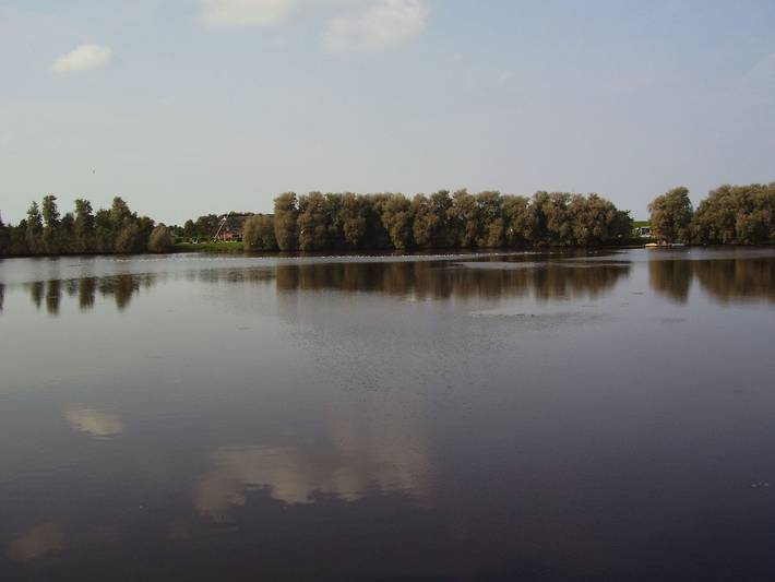 Ferienhaus für 5 Personen, mit Garten und Terrasse, kinderfreundlich in Westerbur - 4