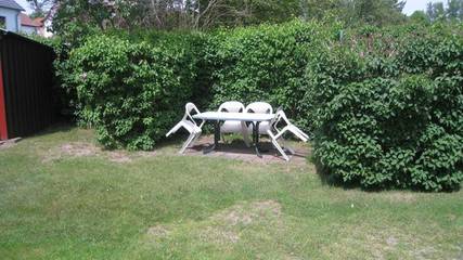 Ferienhaus für 4 Personen in Kloster, Hiddensee, Bild 1