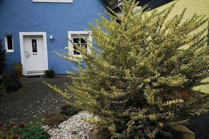 Ferienhaus für 3 Personen - 1