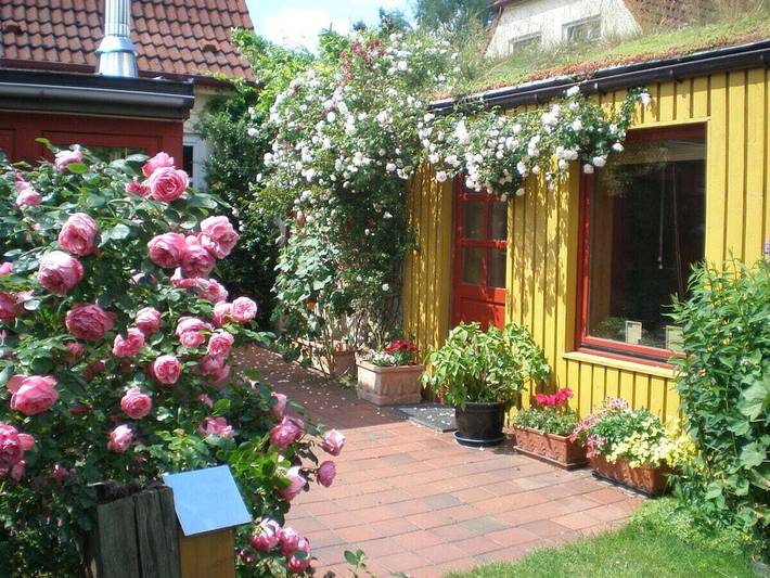 Maison de vacances pour 2 personnes, avec jardin et terrasse - 1