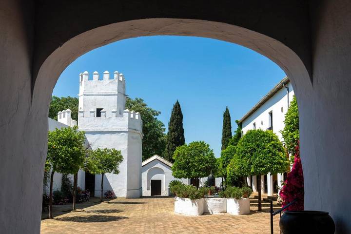 Hôtel pour 2 personnes, avec Terrasse ainsi que Jardin et Piscine dans Torre de la Reina