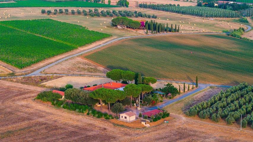 Agriturismo per 8 persone, con panorama e giardino a Bibbona