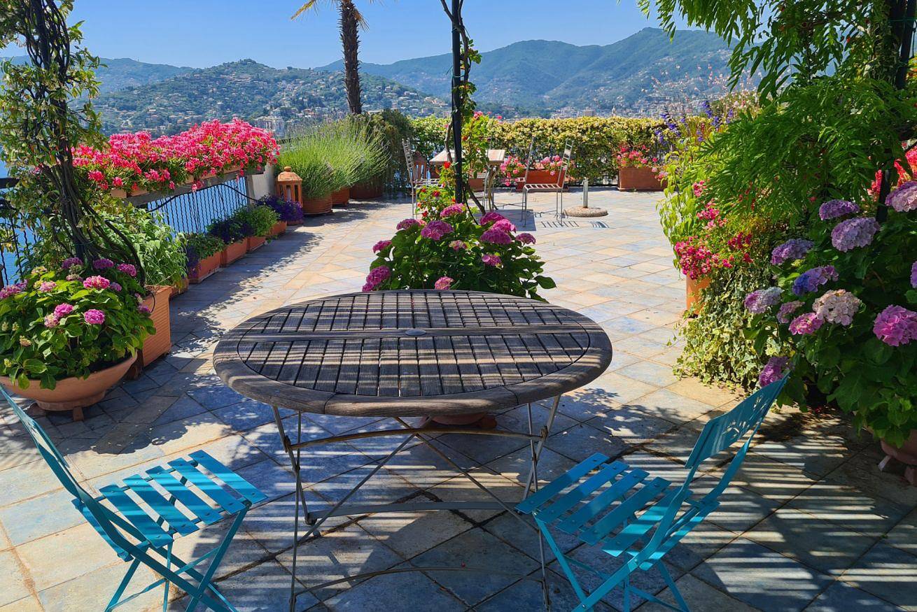 Ganze Wohnung, Aurelia Charming Seaview Apt x6 Panoramic Terrace! in Zoagli, Riviera di Levante