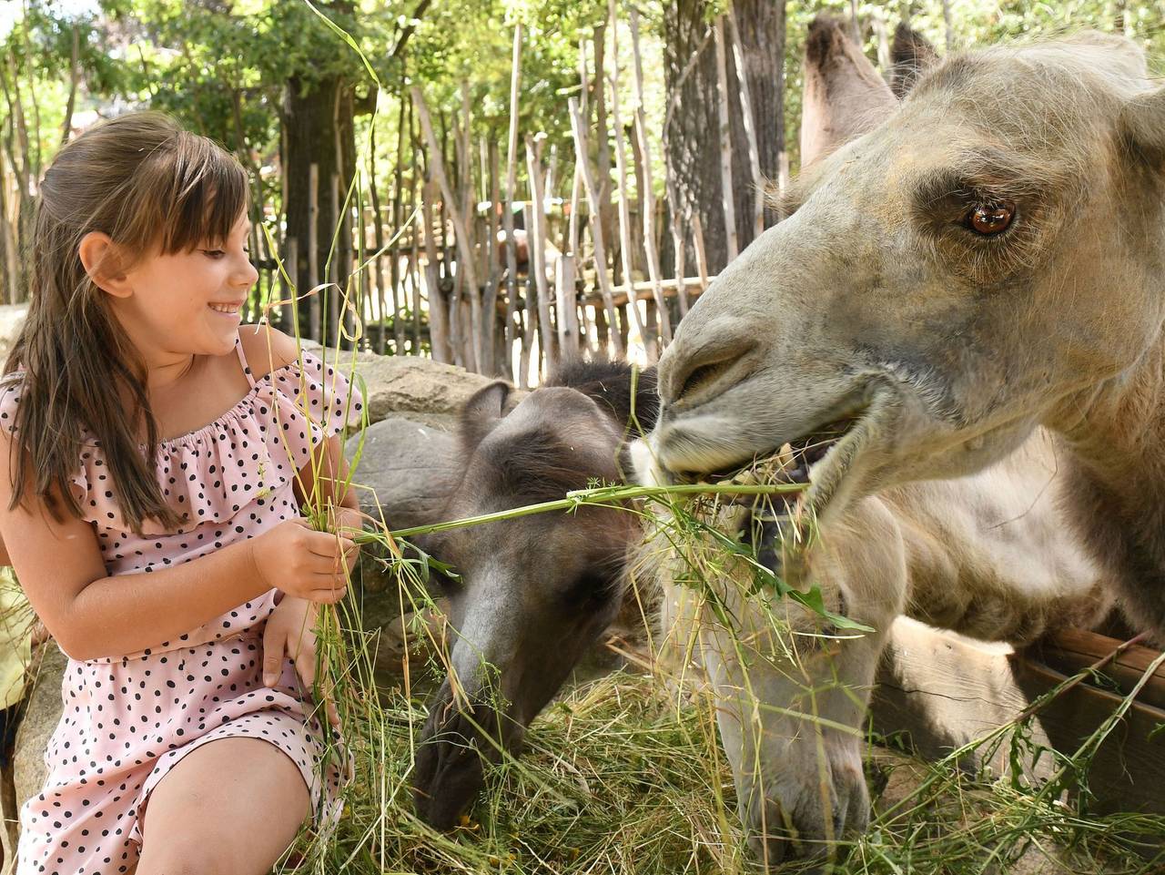 Ganze Ferienwohnung, Naturschutz-Tierpark Görlitz, Ferienwohnung Pandahöhle - Urlaub im Zoo: Pandahöhle in Görlitz, Oberlausitz-Niederschlesien