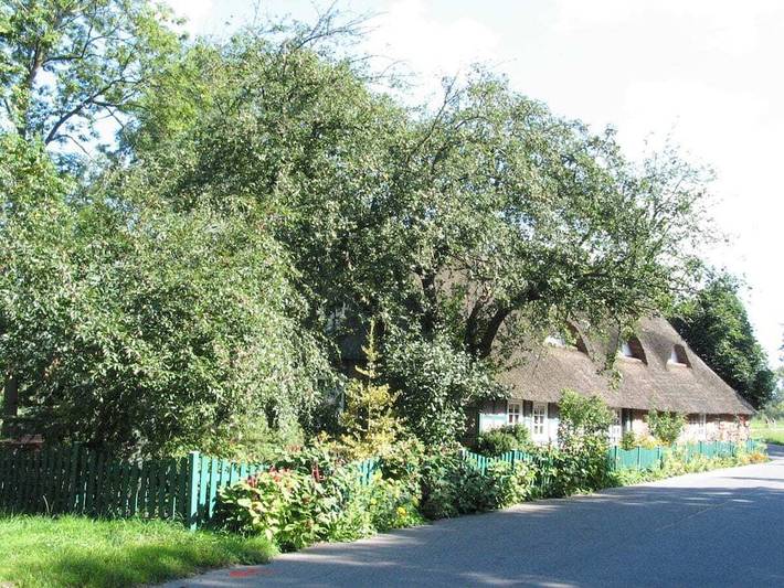 Apartamento vacacional de 1 dormitorio. in Bremen - West, Bremen