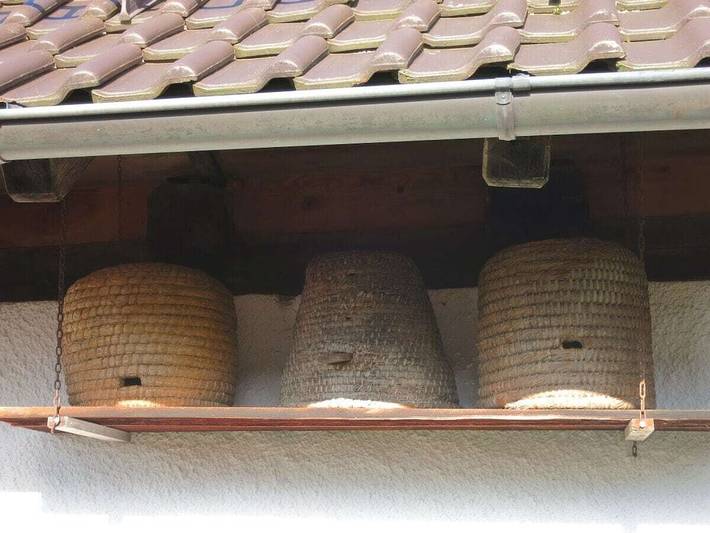 Ferienhaus für 4 Personen, mit Terrasse und Garten in Markgraeflerland - 2