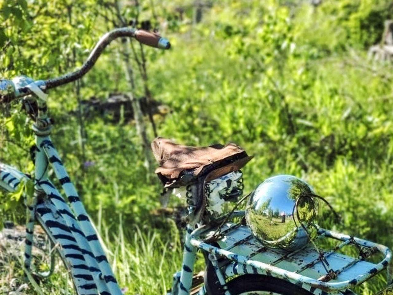 5 Personen Ferienhaus in Hallstavik in Stockholm und Umgebung