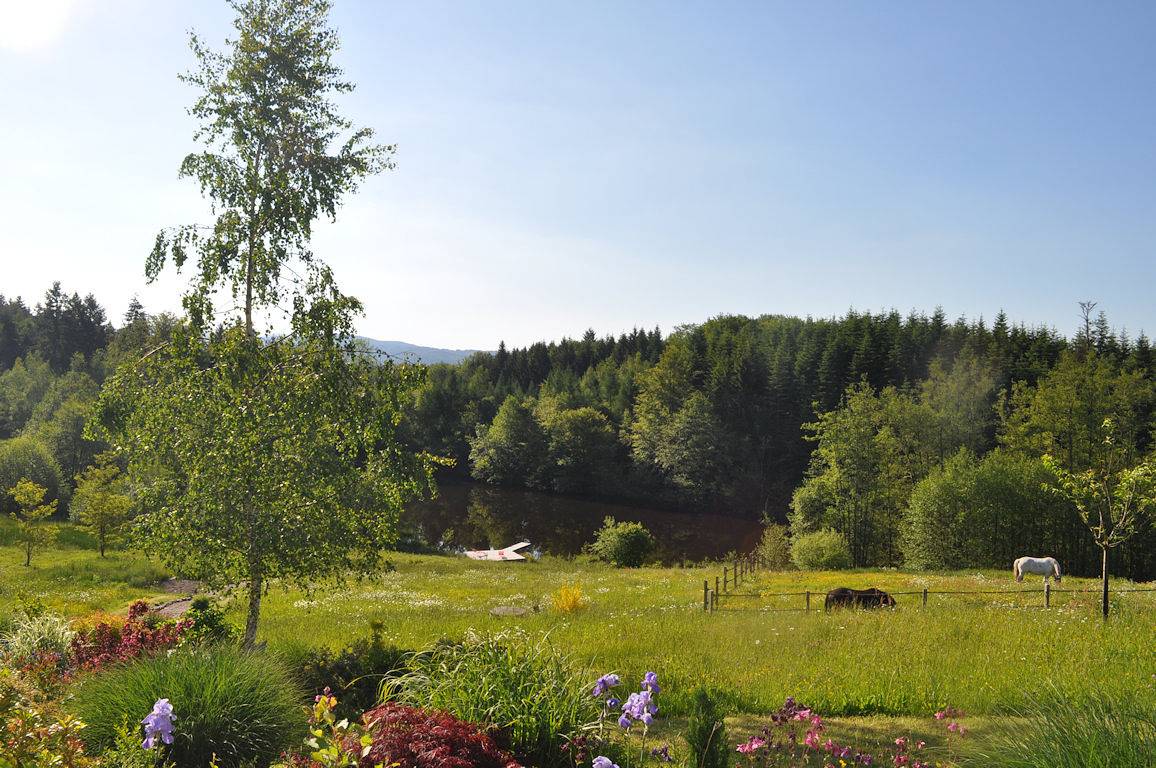 "Appartement Douglasie" avec balcon et étang (Mille Etangs) in Faucogney-et-la-Mer, Parc naturel régional des Ballons des Vosges