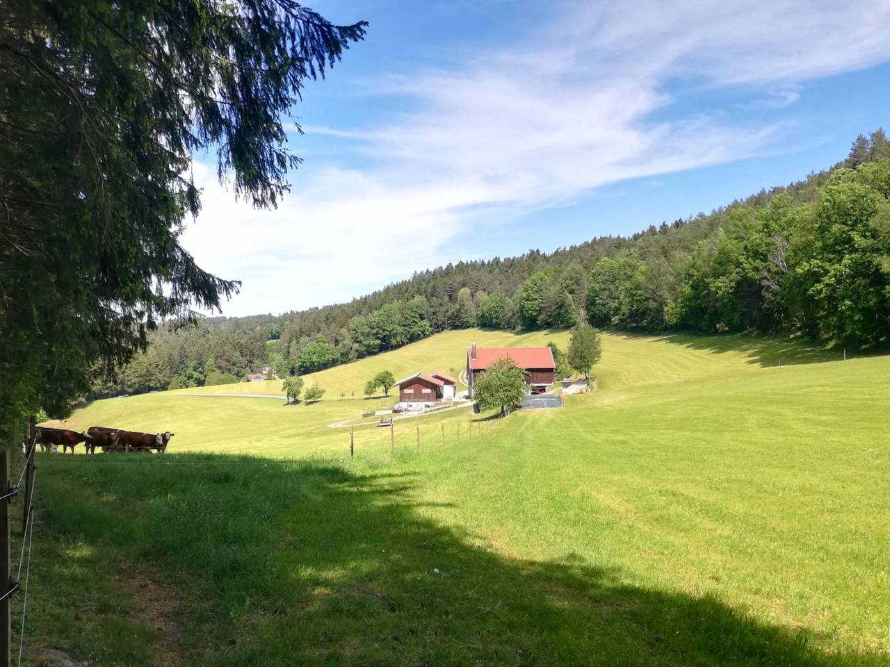 Ferienhaus auf dem Bauernhof im Bayerischen Wald in Viechtach, Ostbayern