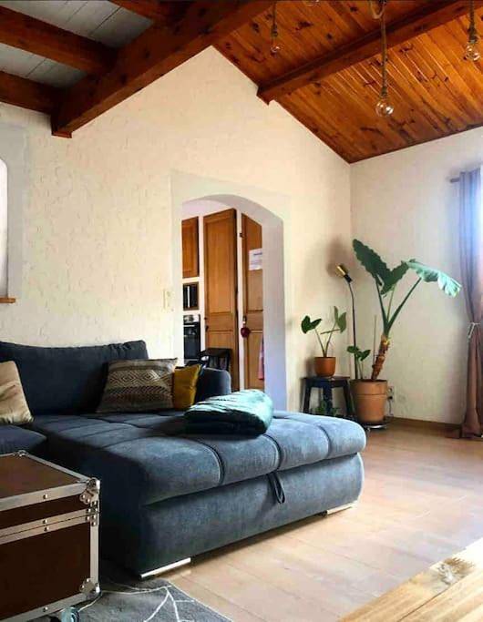 Location de vacances pour 10 personnes, avec jardin ainsi que vue et terrasse, animaux acceptés à Saint-Julien-en-Beauchêne - 3