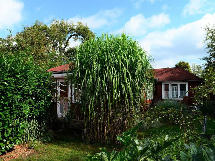 Ferienhaus für 4 Personen, mit Terrasse und Garten in Malente - 3