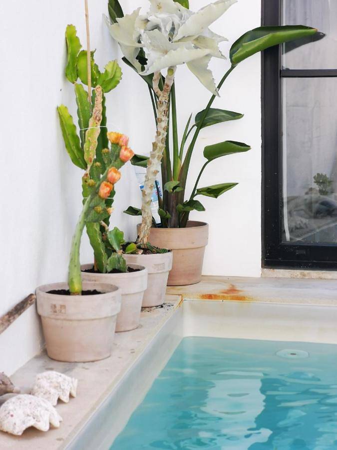 Location de vacances pour 5 personnes, avec terrasse et piscine dans Odeleite - 4