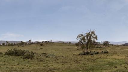 Holiday Home for 6 People in Jindabyne, New South Wales, Photo 3