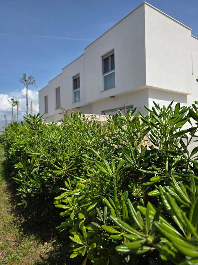 Ferienhaus für 6 Personen, mit Ausblick und Garten in Povljana - 3