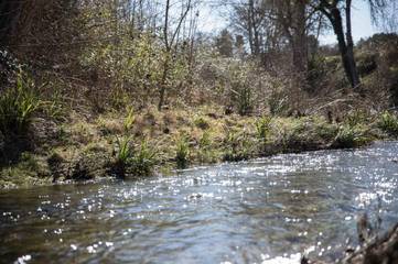 Gîte pour 3 personnes, avec terrasse ainsi que jardin et vue à Ladern-sur-Lauquet