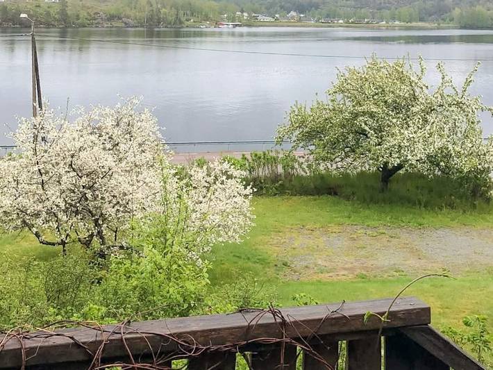 3 Personen Ferienhaus in Bengtsfors in Bengtsfors, Dalsland