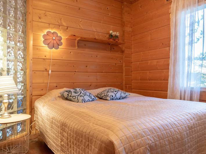Näsinjoutsen in Pirkanmaa