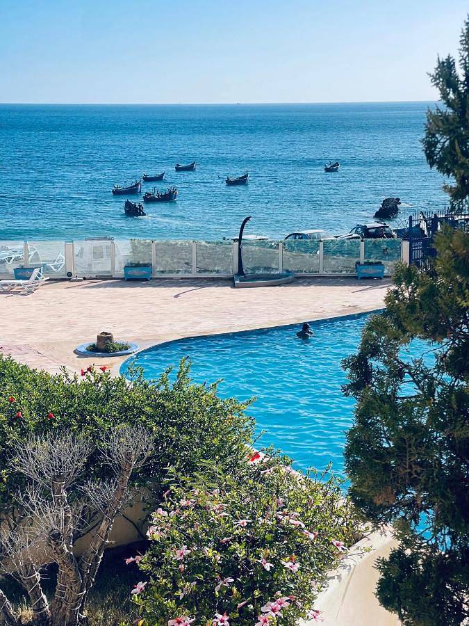 Appartement de vacances pour 7 personnes, avec piscine ainsi que jardin et vue, animaux acceptés