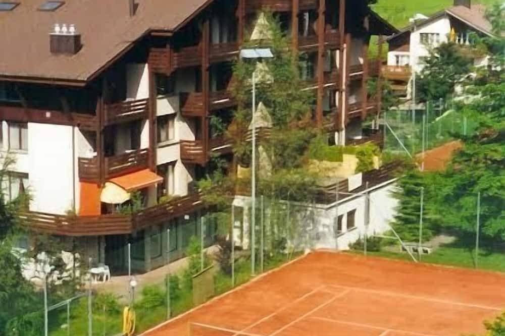 Apartamento entero, El ir de excursión en bicicleta de esquí y parapente paraíso recreativo. in Emmetten, Lago de los Cuatro Cantones