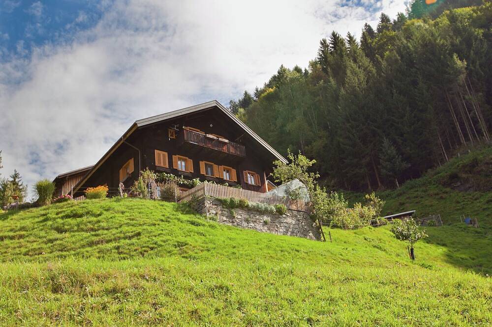 Ganze Wohnung, Chalet in Schruns nahe Montafon Skilift in Silbertal, Schruns-Tschagguns