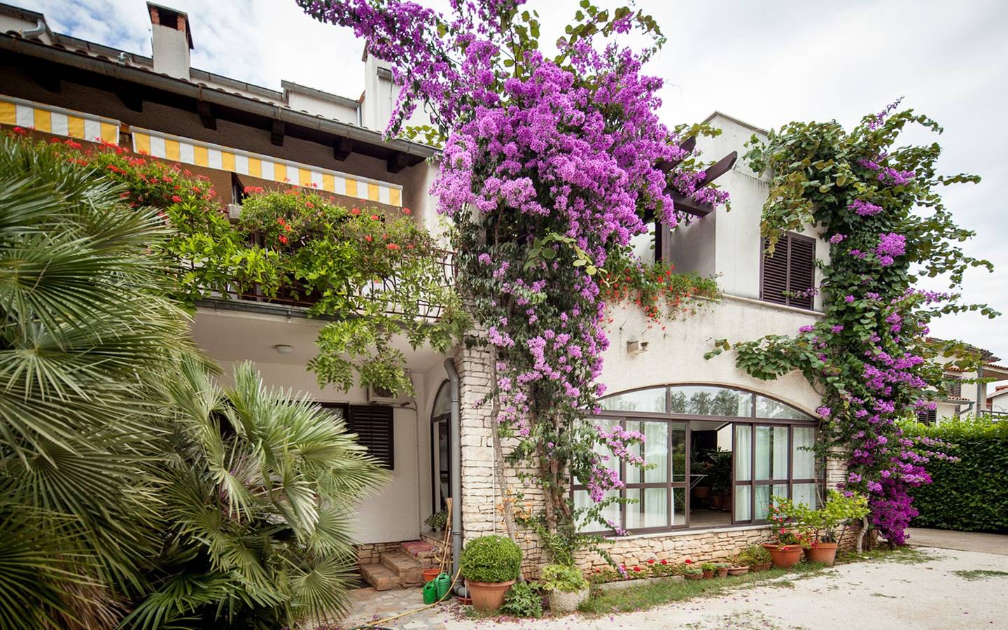 Entire apartment, Apartments Natasa in Rovinj, Rovinj region