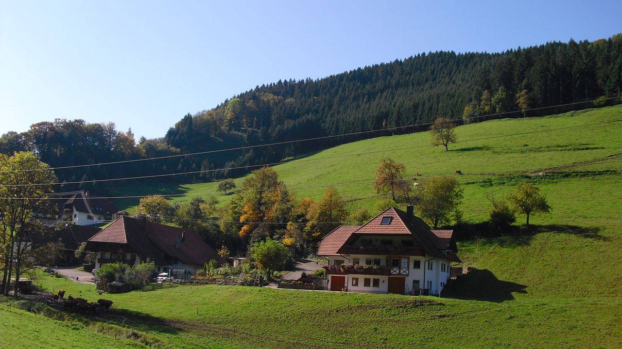 Ganze Ferienwohnung, Ferienwohnung für 5 Personen (60 m²) in Hofstetten (Baden-Württemberg) in Hofstetten, Mittlerer Schwarzwald