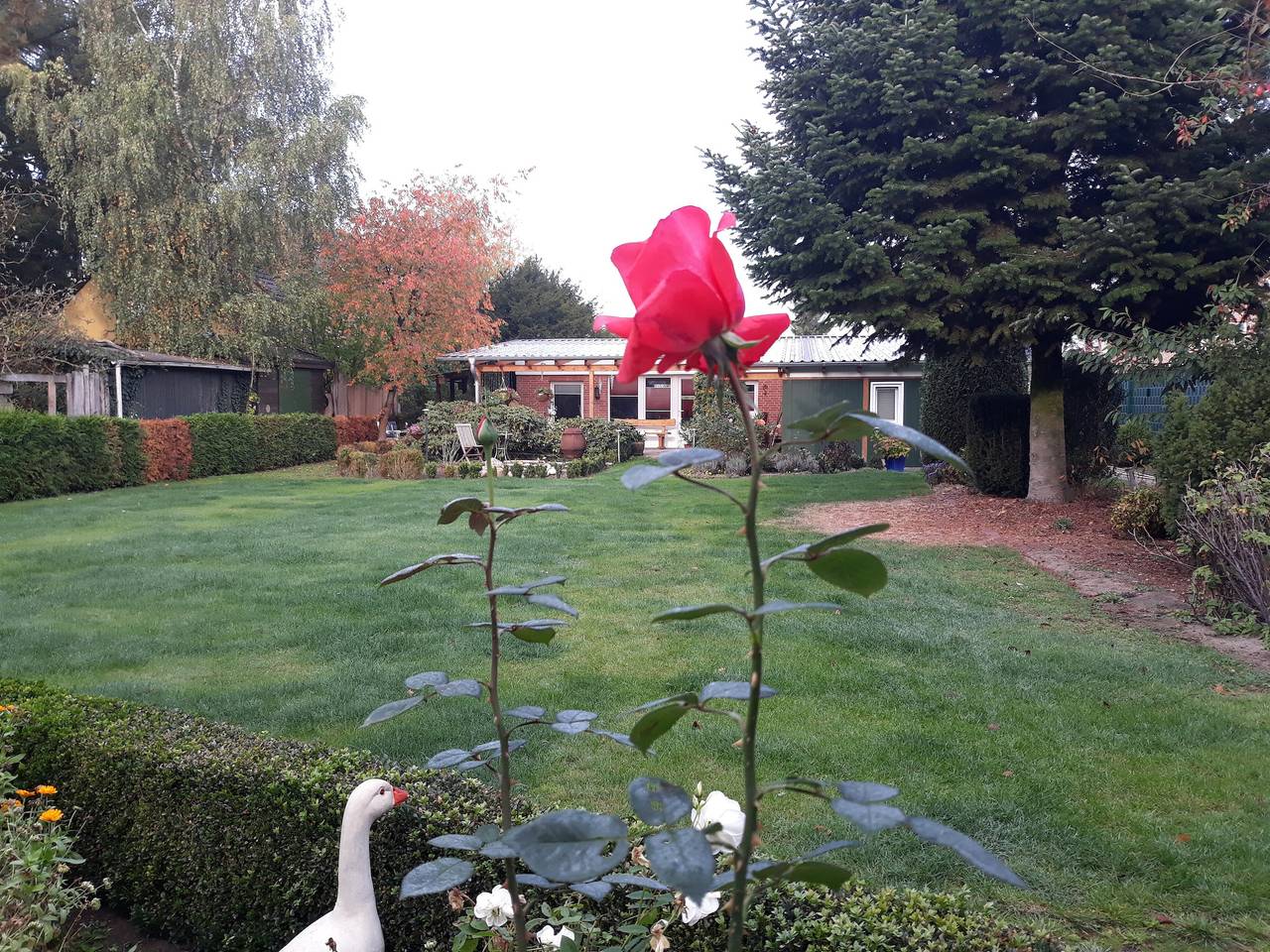 Ferienhaus „Haus Birkenheim“ mit privater Terrasse, Gemeinschaftsgarten und Wlan in Hatten, Naturpark Wildeshauser Geest