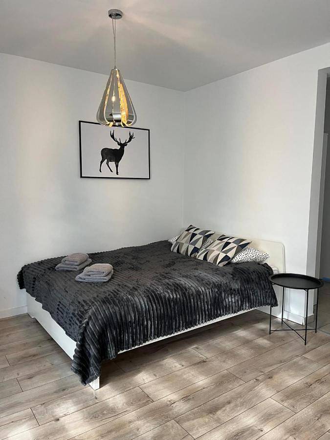 Apartament wakacyjny dla 5 osób, z ogród, zwierzęta dozwolone w Rybnik