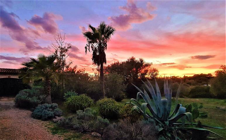 Finca für 6 Personen, mit Terrasse und Garten in Capdepera - 4