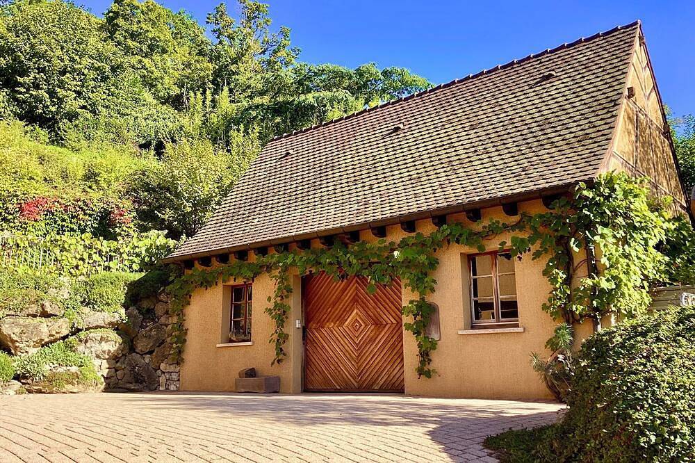 Furnished house 5p in Osenbach Sunny Quiet Exceptional view 25mn from Colmar in Osenbach, Parc naturel régional des Ballons des Vosges