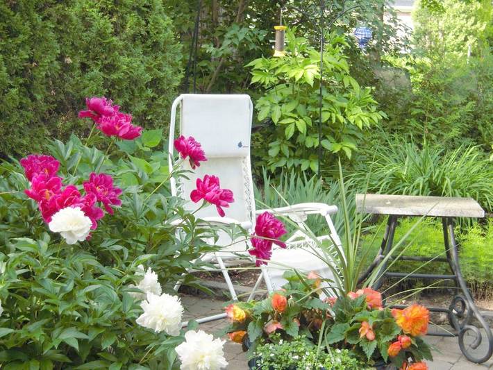 Chambre d’hôte pour 3 personnes, avec vue et jardin dans Canada - 4