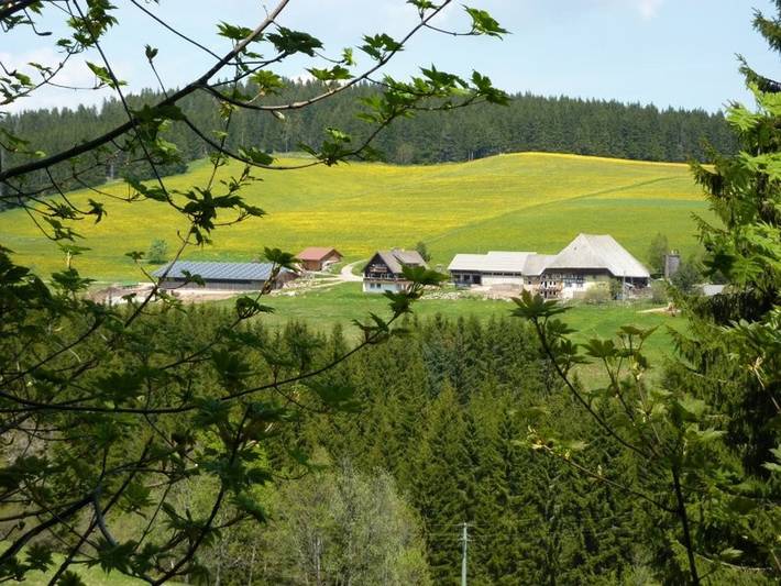 Bauernhaus für 6 Personen, mit Garten, mit Haustier in Schönwald im Schwarzwald - 3