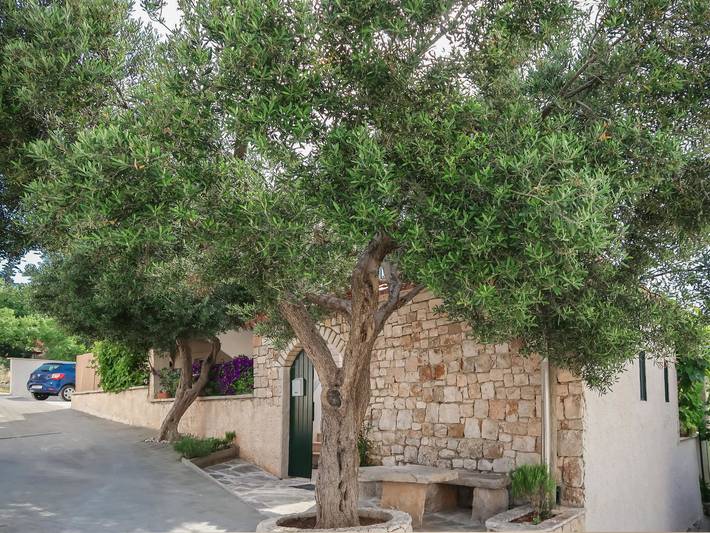 Ganze Wohnung, Ana in Supetar, Brac