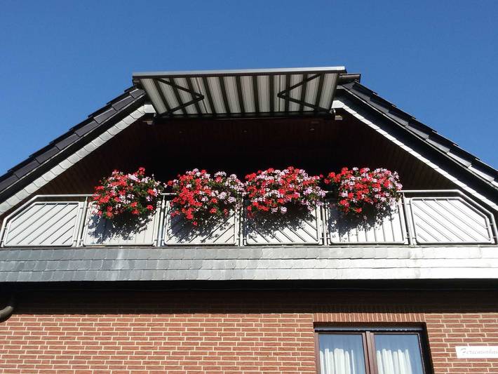 Ferienwohnung für 3 Personen, mit Sauna und Garten am Steinhuder Meer - 3