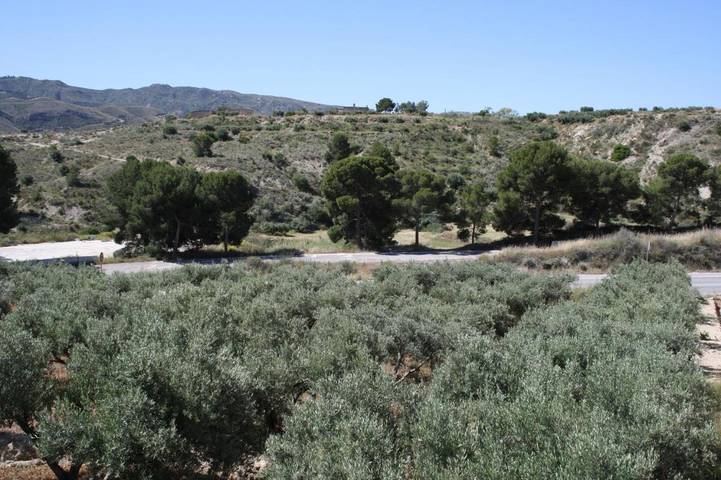 Alojamiento y desayuno para 2 personas, con Terraza además de Jardín y Vistas en Los Gallardos - 4