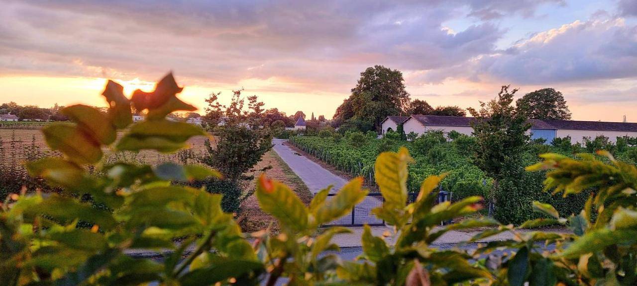 Appartement entier, One-Bedroom Apartment in Libourne, Région de Libourne