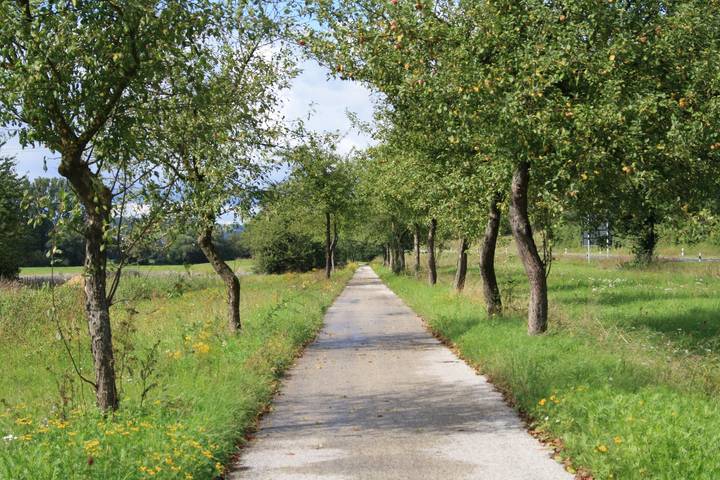 Ferienhaus für 3 Personen, mit Garten und Terrasse in Landkreis Haßberge - 4