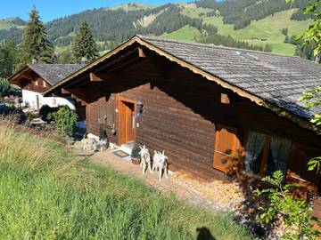 Gîte pour 6 personnes, avec balcon et vue dans Schwarzsee