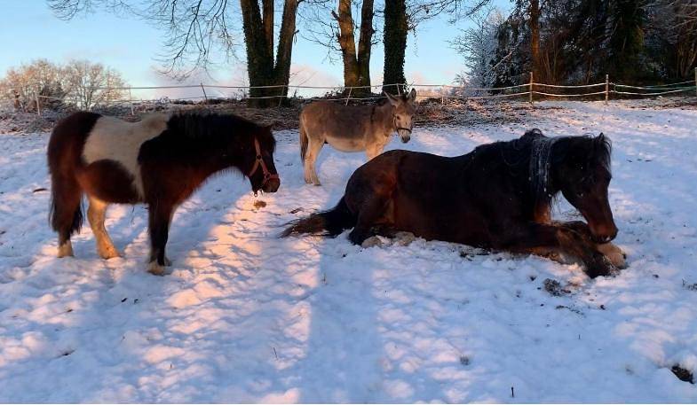 Appartement de vacances pour 3 personnes, avec jardin et vue dans la Creuse - 2
