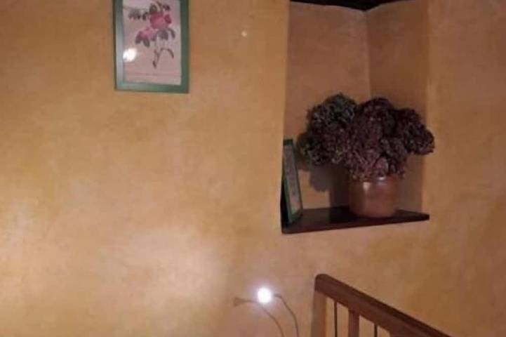 Location de vacances pour 4 personnes, avec jardin à Castelnau-de-Brassac - 4