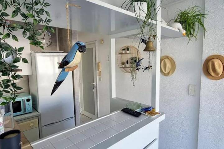 Gîte pour 4 personnes, avec terrasse et vue dans Casino de Palavas les Flots - 4