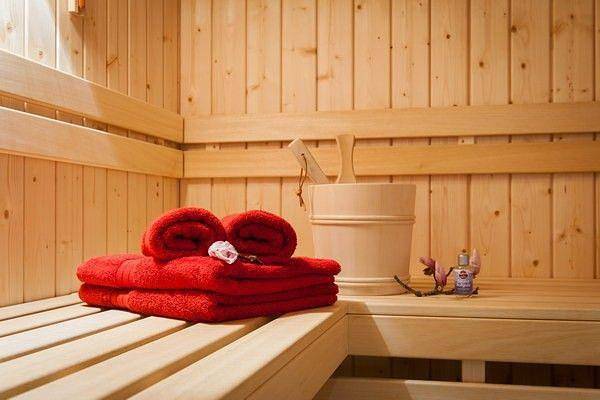 Chalets zum Ilsetal, Carl-Lambrecht-Chalet Nr. 19 in Ilsenburg, Harzvorland