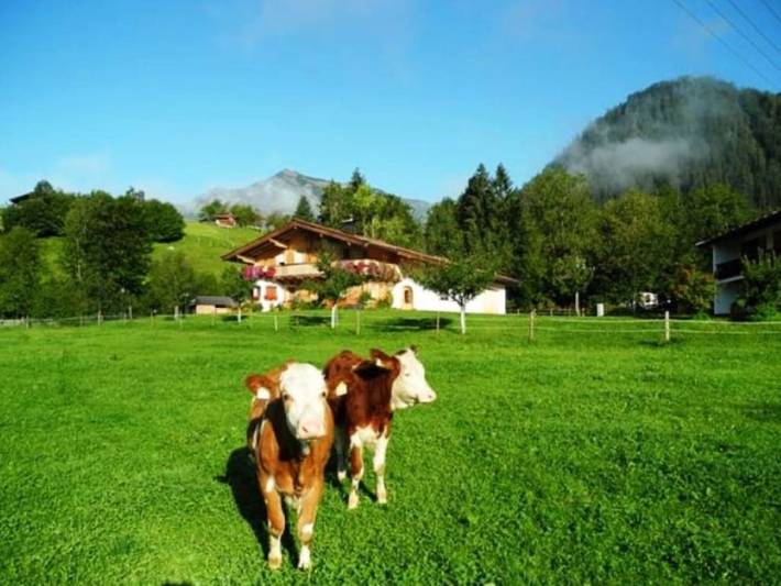 Ferienhaus für 2 Personen, mit Balkon und Garten in Waidring - 3