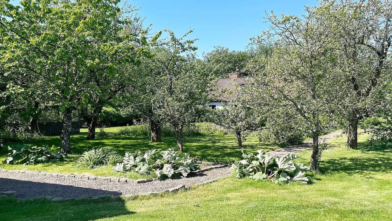 Ferienhaus für 6 Personen (50 m²) in Kattarp in Helsingborg, Skane