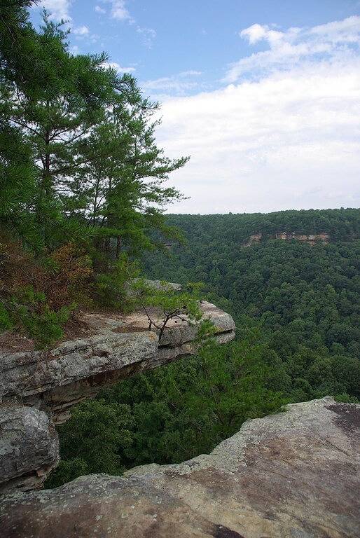 Greeter Falls Lodge Cottage #7 in Altamont (TN), Grundy County
