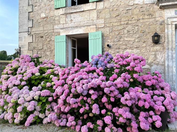 Chambre d’hôte pour 3 personnes, avec vue et jardin à Allemans