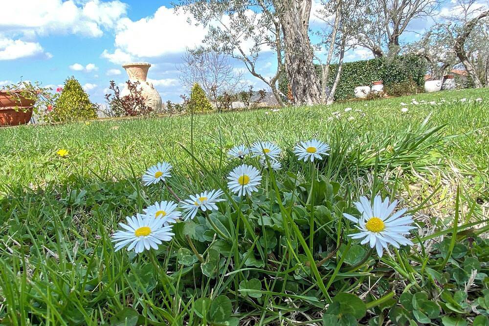 4 Bedroom Villa in Campania in Mirabella Eclano, Avellino Provinz