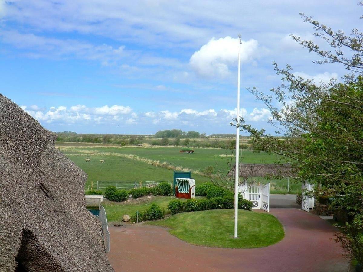 Herrenhof - Fewo Nr. 5 in Wrixum, Föhr
