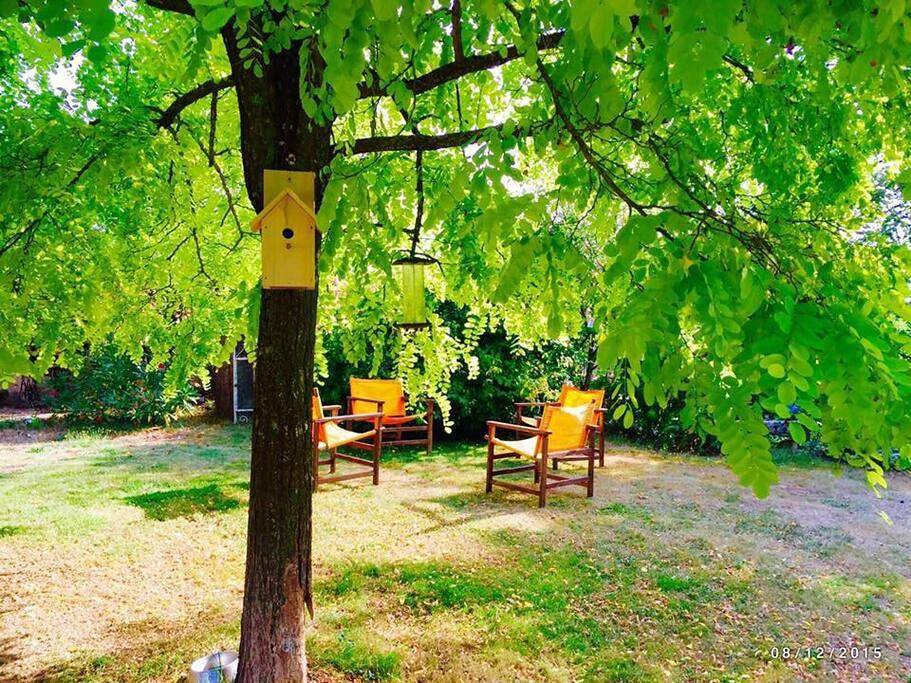 La Frapperie in La Pommeraie-sur-Sèvre, Fontenay-le-Comte